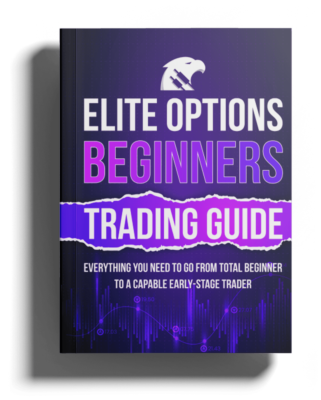 Elite Options Beginners Trading Guide